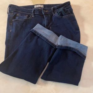 Jean Skinny fit Banana Republic Calf shorts